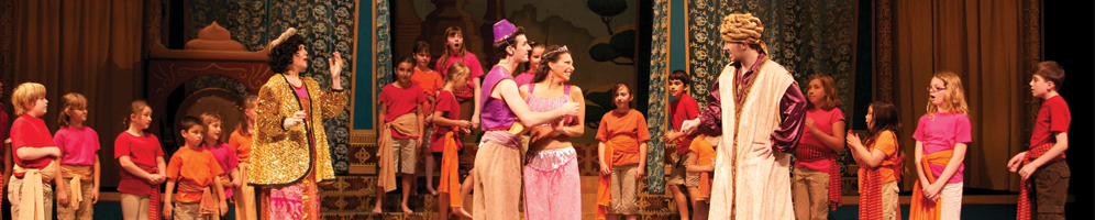 aladdin-website-banner