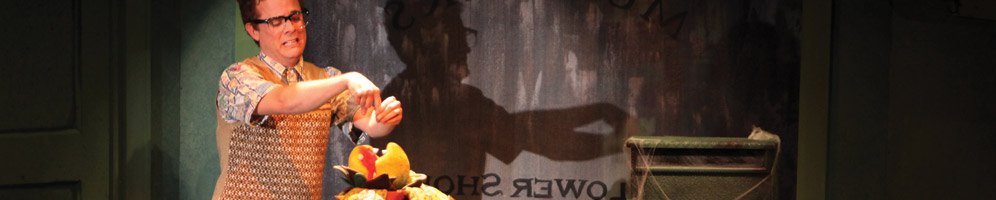 littleshop-website-banner2