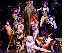 Photo from "Cats"