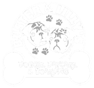 Buster and Lily's Doggie Daycare