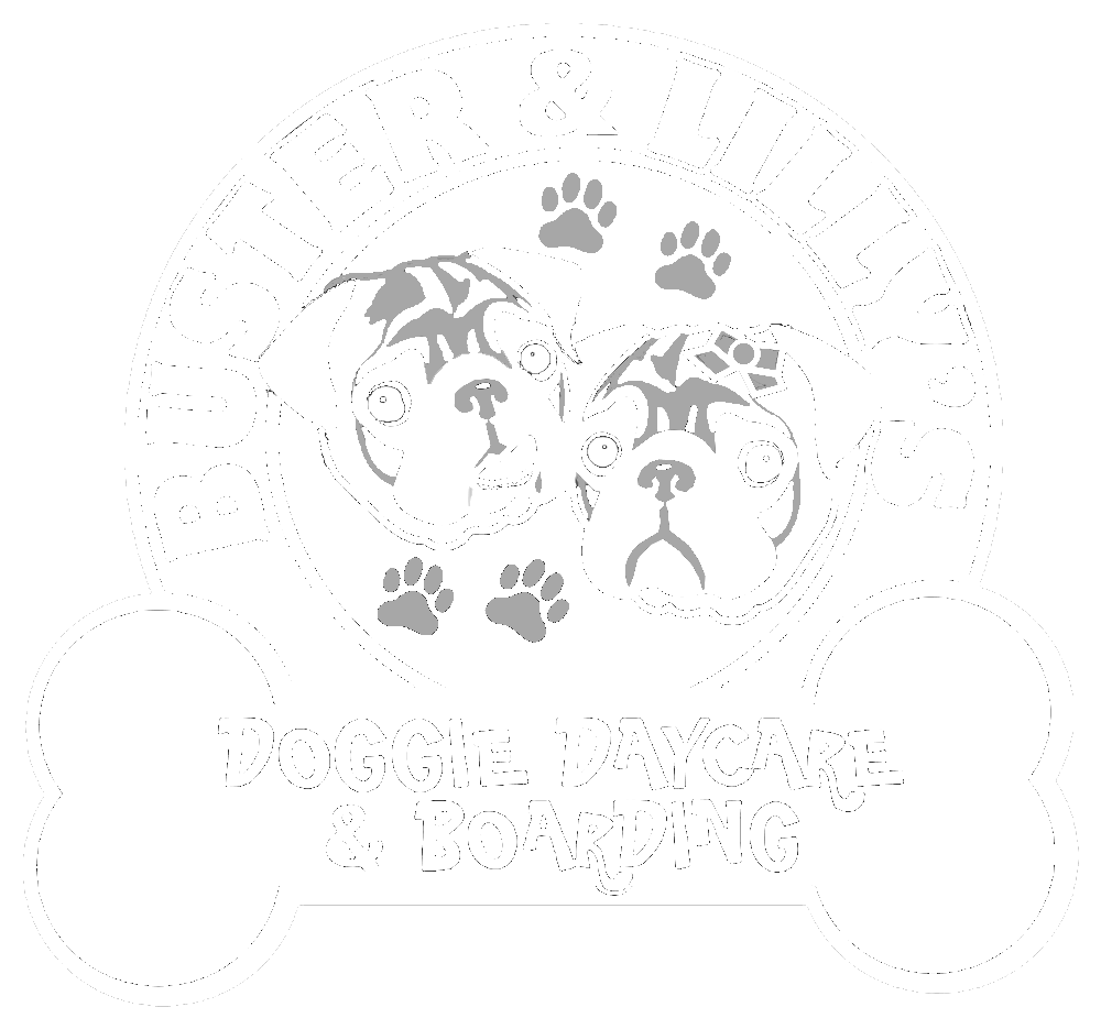 Buster and Lily's Doggie Daycare