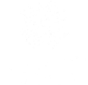 Regional Arts and Culture Council