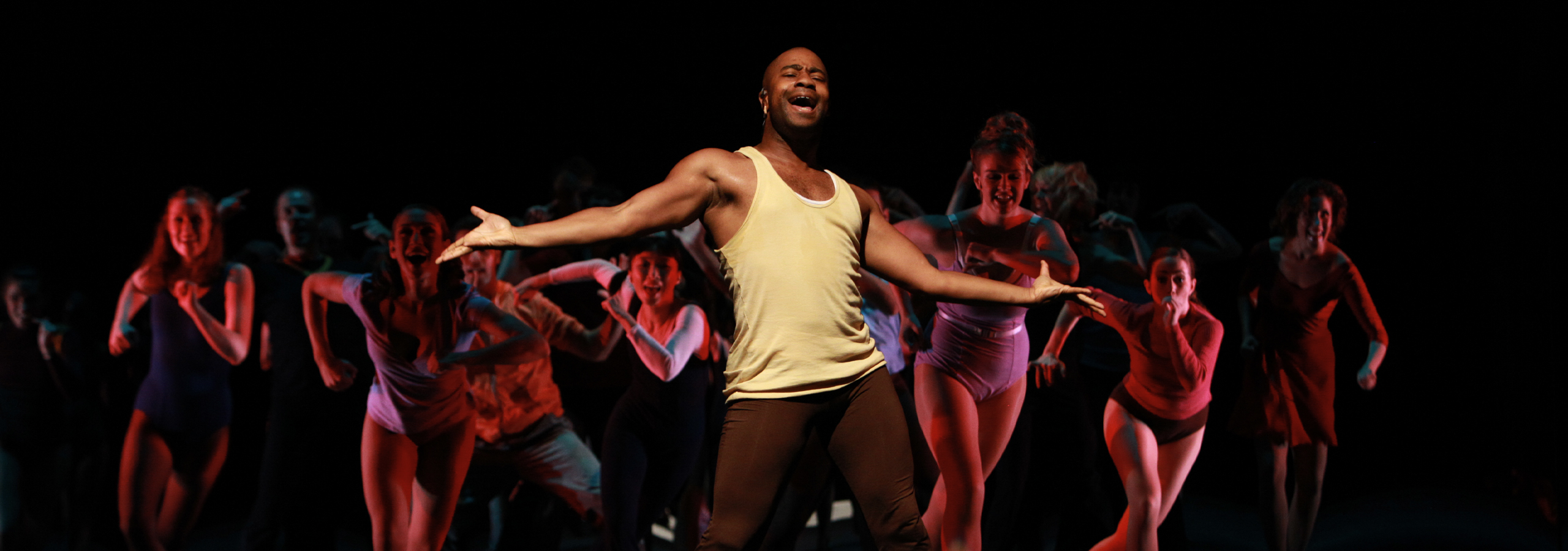 A Chorus Line - 2010 - Photo by Craig Mitchelldyer