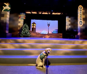 Metzi, a service dog in training at her very first show, A Very Merry PDX-mas.