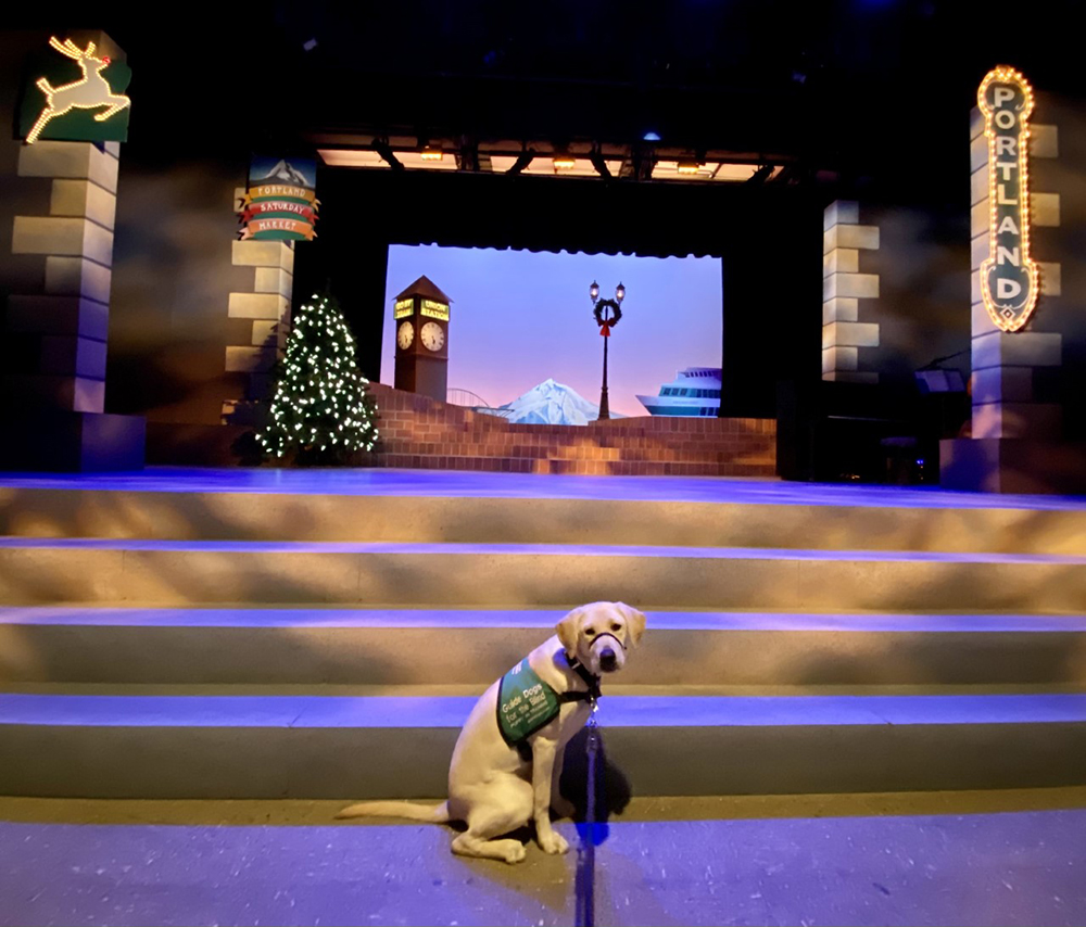 Metzi the Guide Dog Metzi, a service dog in training at her very first show, A Very Merry PDX-mas.