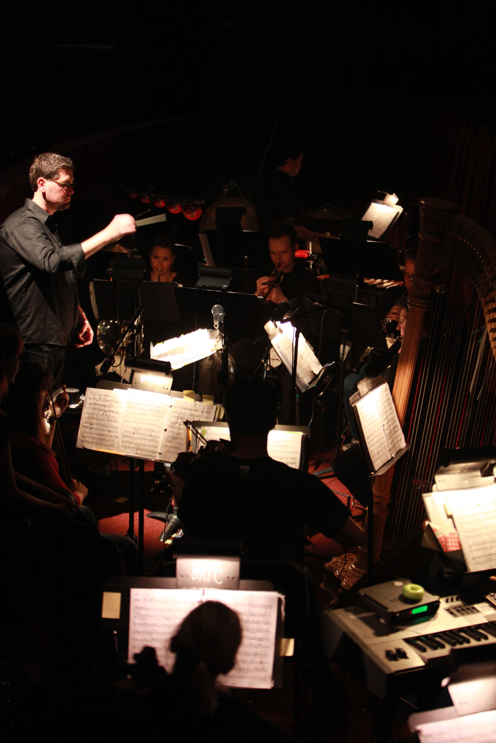 Alan conducting the orchestra for The King and I (2010).