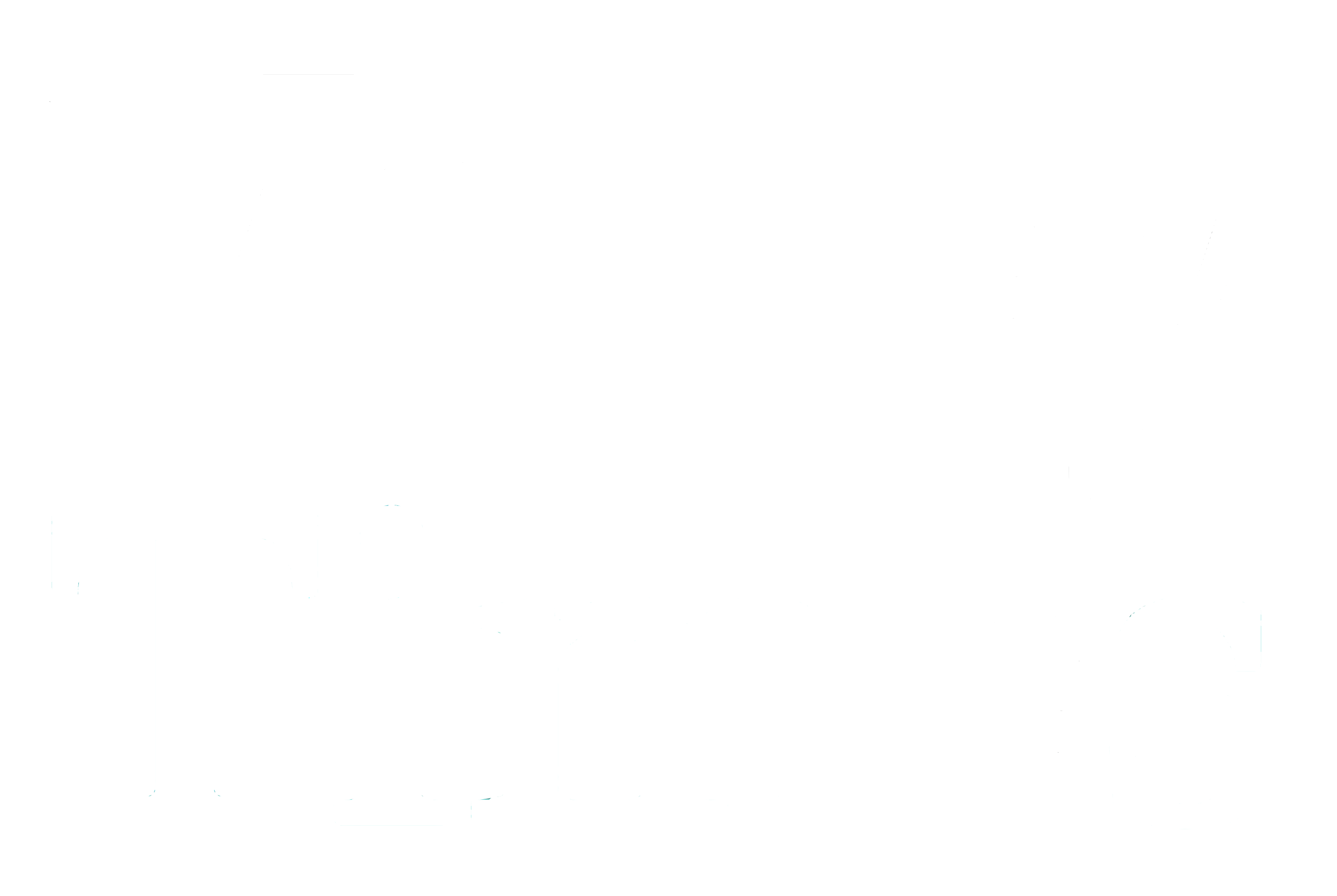 Valley times logo 2024 white broadway rose theatre company